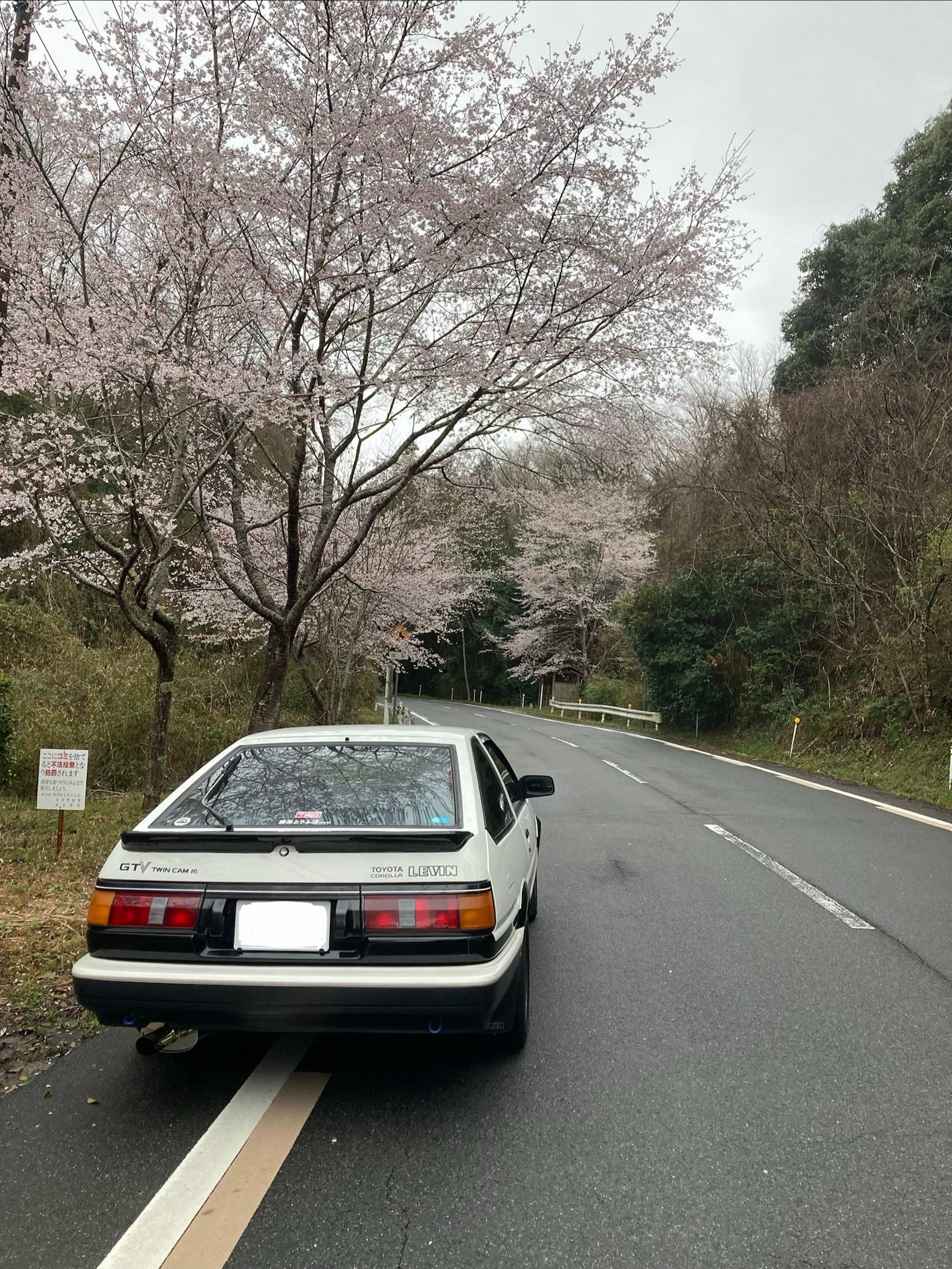 なかむらごん様