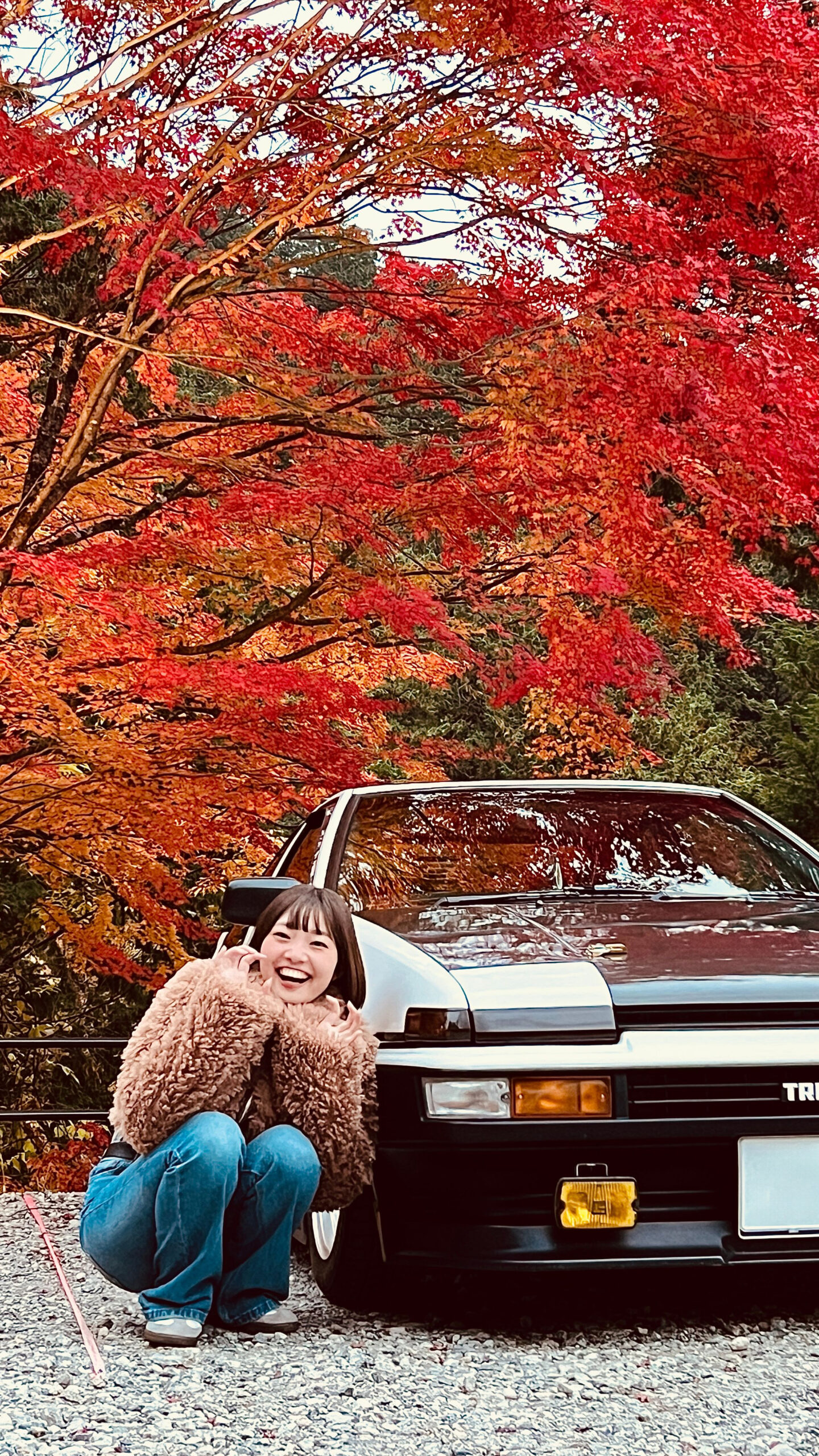 ブリスターパンダ様