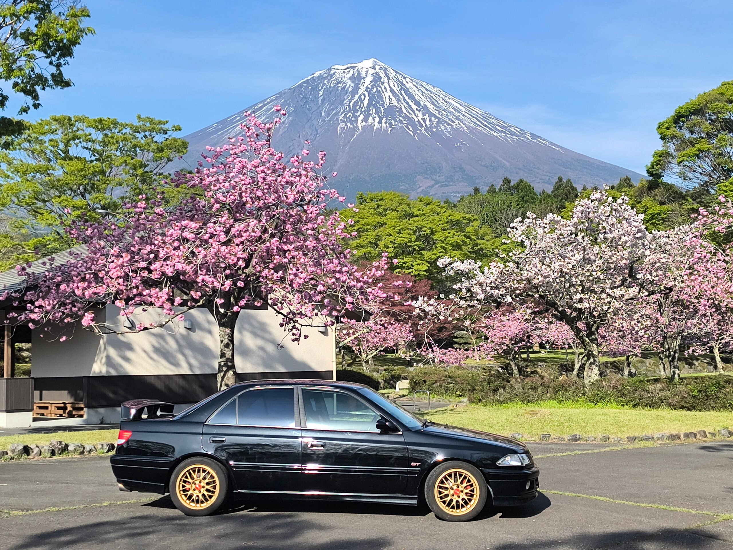 メルシーステージ様